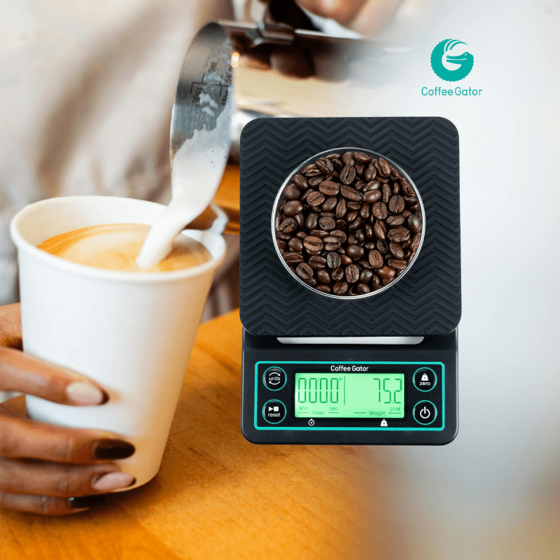 Set de café portátil para camping y viaje con cafetera de vidrio