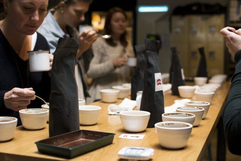 La taza de catación según la SCA: la base para una evaluación sensorial precisa y profesional del café.