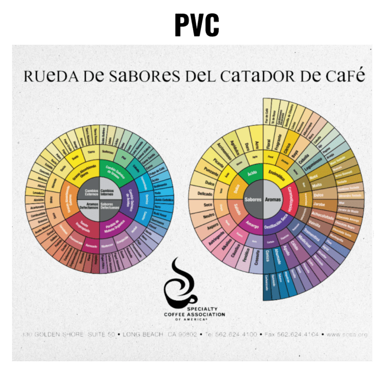 Rueda de sabores del catador PVC Español.